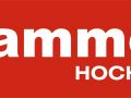 Hammer Hochbau Logo 66
